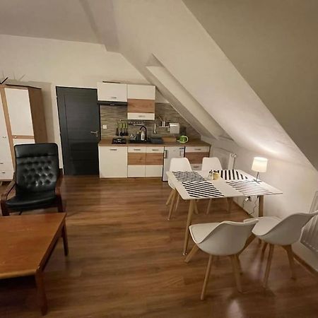 Francis Apartment - Lazenske Centrum Karlovy Vary Exterior photo